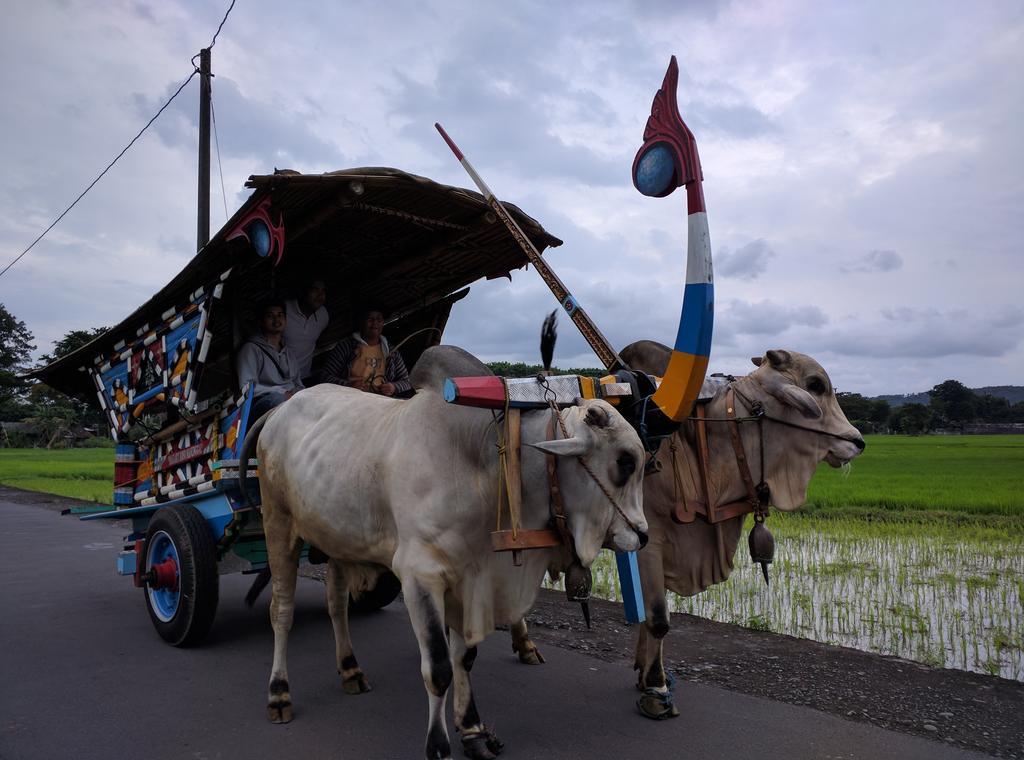 Joglo Ayem Tentrem Prambanan Εξωτερικό φωτογραφία
